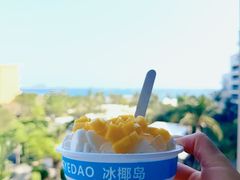 -冰椰岛椰冰(亚龙湾店)