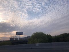 -昆山城市生态森林公园