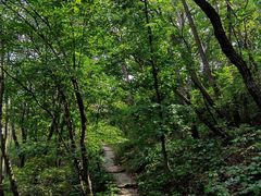 -玉渡山自然风景区