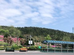 -棒棰岛宾馆景区