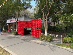 -昆山城市生态森林公园