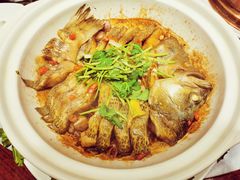 -蔼若春.传承三十年云南菜(金碧公园店)