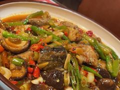 -黑蚂蚁(南河店)