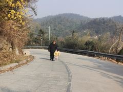 -长沙黑麋峰国家森林公园