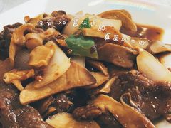 -新发记港式茶餐厅(黄浦店)