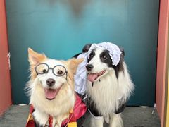 -华谊兄弟（长沙）电影小镇