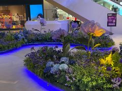 -蝶园·装修中(BFC外滩金融中心店)