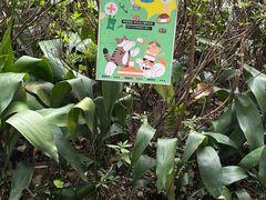 -广州兰圃