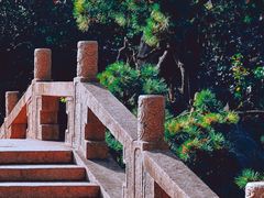 -上海醉白池公园