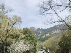 -涂山风景区