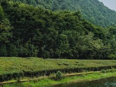 -腾冲北海湿地