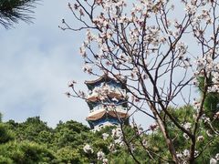 -北京十三陵国家森林公园蟒山景区