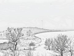 -御道口草原森林风景区