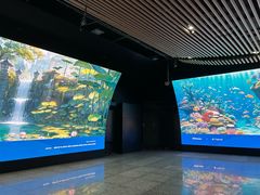 -纯K(打浦桥店)