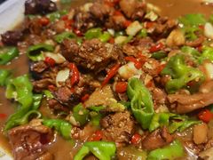 -俭寨大盘鸡·缸子肉·小公鸡·新疆菜(云通店)