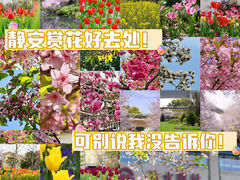 -静安雕塑公园