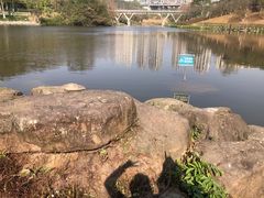 -重庆中央公园(渝北区)