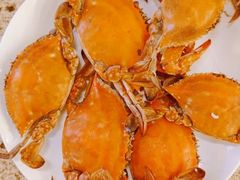 -禾斗海鲜自助(市南银座店)