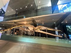 -墨尔本博物馆(Melbourne Museum)