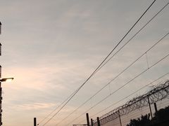 -探鱼·鲜青椒爽麻烤鱼(天河优托邦店)