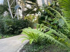 -北京植物园-展览温室