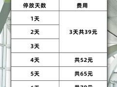 -合肥新桥国际机场-航站楼