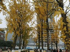 -百林公园-两江幸福广场
