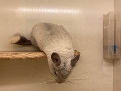 -龙猫仔乐园(惠福东路店)