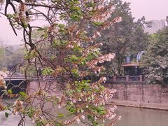 -红星桥(地铁站)