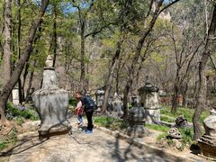 -北京上方山国家森林公园