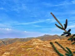 -云顶山风景区