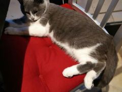 -MIKAKU(万达广场上海宝山店)