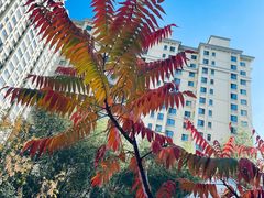 -松浦·观江国际