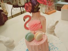 火烈鸟-随心小姐