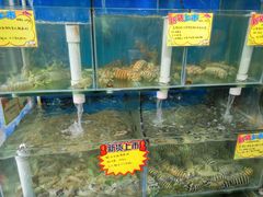 -蚝专家(北滘店)