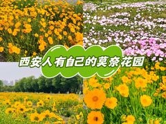 -汉长安城未央宫国家考古遗址公园