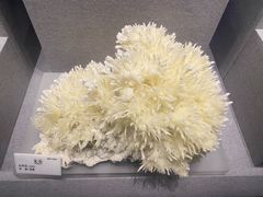 -贵州省地质博物馆