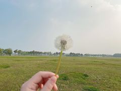 -阳澄湖半岛旅游度假区