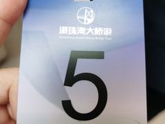 -港珠澳大桥(珠海段)