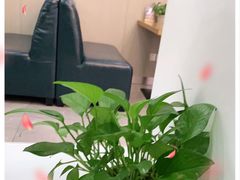 -美航国际健身(北京华联店)