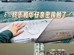 -星光大道