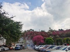 -玫瑰庄园·自助烧烤·烤全羊·团建拓展(龙泉山店)