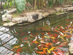 -南通洲际绿博园