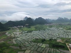 -会仙湿地