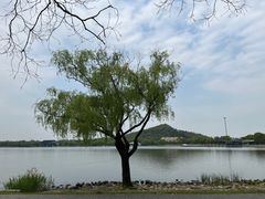 -上海月湖雕塑公园