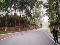 -火炉山森林公园