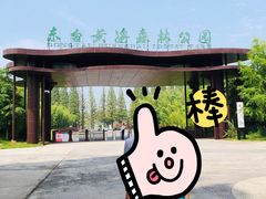 -黄海国家森林公园