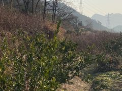 -仙岩洞