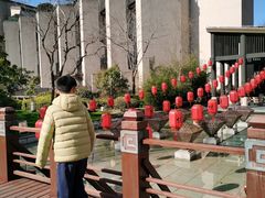 -上海崇明金茂凯悦酒店