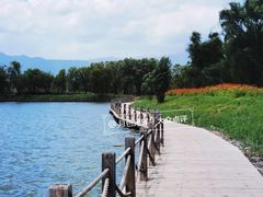 -野鸭湖国家湿地公园